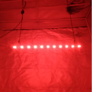 pcb rojo 03